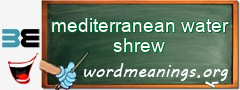 WordMeaning blackboard for mediterranean water shrew